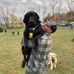 Marcus Hartman - Facebook