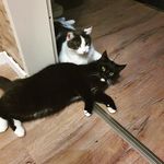 Marcus Hartmann - @hartmann.marcus - Instagram