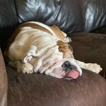 MARCUS HATCHER - @1flredbird - Instagram
