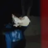 Marcus Hatcher - @marcus.hatcher8 - TikTok