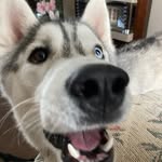 Marcus Hatton - @mrh1.84 - Instagram