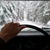 Marcus Hauser - @marcus.hauser - TikTok