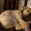 marcushauser575 - @marcushauser575 - TikTok