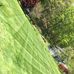 Marcus Hay - Facebook