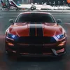 marcushealy8771 - @marcushealy8771 - TikTok