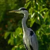 Marcus Hein - @marcus.hein0 - TikTok
