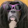 Marcus Herrington787 - @marcusherrington7 - TikTok