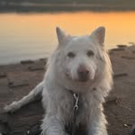 Marcus Herrmann - @marcus.herrmann.129 - Instagram