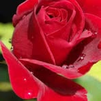 Marcus Holbrook - Facebook