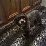 Marcus Hoover - @hoover4580 - Instagram