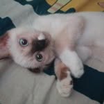 Marcus Hope Dela Rosa - @marc.u081 - Instagram