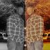 Marcus Horace - Facebook