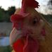 Marcus Horner - Facebook