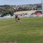 Marcus Howe - @howe.marcus - Instagram