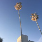 Marcus Hyde - @marcushyde_5 - Instagram