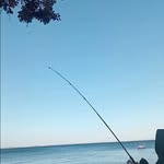 Marcus Pressman-Hyde - @marcusp_h - Instagram