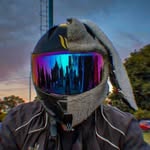 Marcus Ride (el conejo ruedas) - @marcus.ride - Instagram