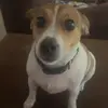 Jacob Marcus - @jacob_marcus1284 - TikTok