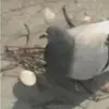 marcus jacob - @marcus.jacob58 - TikTok