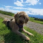 Marcus Janßen - @janssen.marcus - Instagram