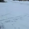 Joel Marcus - @joel.marcus7 - TikTok