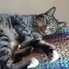 Marcus Jonas - @marcus.jonas2 - TikTok