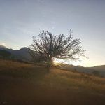 Marcus Julius - @marcus.julius.5815 - Instagram