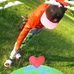 Marcus Junior - Facebook