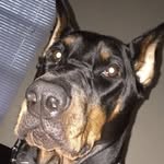 marcus keel - @keelmarcus - Instagram