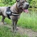Marcus Kenyon - Facebook