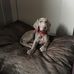 Marcus Kenyon - Facebook