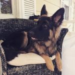 Marcus  Kinney - @weird_boi78 - Instagram