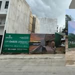 Marcus Kruse - @marcuskruse6 - Instagram