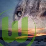 Marcus Kruse - @marcus.kruse.33 - Instagram