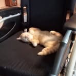 Markus Kruse - Facebook