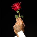 Marcus Lapointe - @marc_le_poto - Instagram