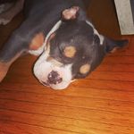 Marcus Lettland - @marcuslettland - Instagram