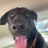 Marcus Levin - @marcus_levin - TikTok