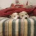 Marco Liburdi - Facebook