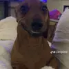 marcus light - @marcus.light5 - TikTok