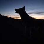 Marcus Lindebacher - @marcuslindebacher - Instagram