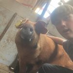 Marcus Norling Larsen - @marcus.ling.l - Instagram