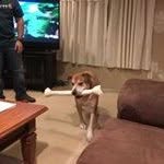 Marcus Livesay - @livesaymarcus - Instagram