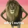 MarcusLo - @marcusloranzoo1234 - TikTok