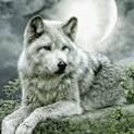 Mark Lomax - Facebook