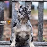 Dmarcus Longmire - @dmarcuslongmire - Instagram