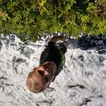 Marcus Lorenz - @lorenz8782 - Instagram