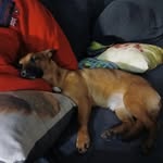 Marcus Luther - @marcus.luther.81 - Instagram