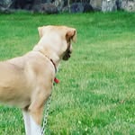 Marcus mackenzie - @mark48ize - Instagram