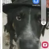 malbroux - @malbrouk22 - TikTok